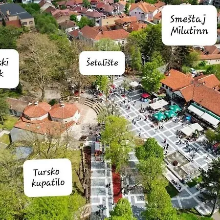 Milutinn-visterija *
