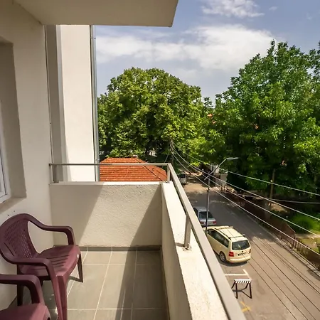 Milutinn-visterija * Soko Banja