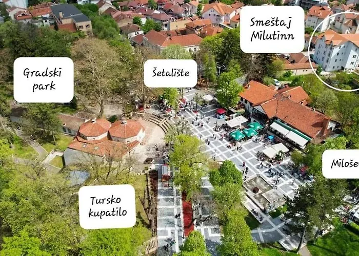 Milutinn-visterija *