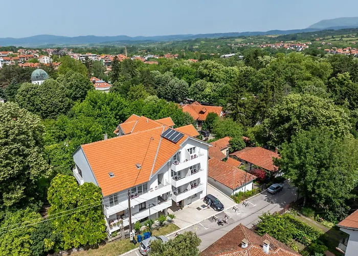 Milutinn-visterija * Sokobanja